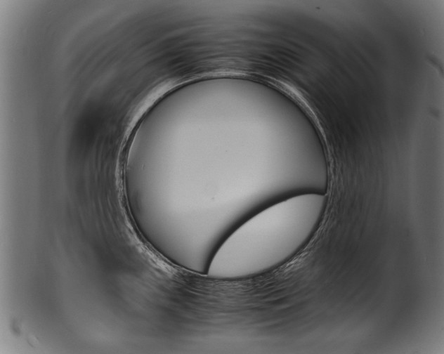 X0000100981243200806241141