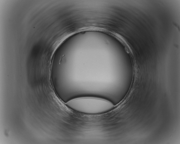 X0000100981244200806241141