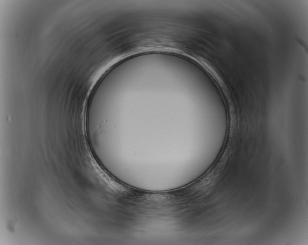 X0000100981246200806241141