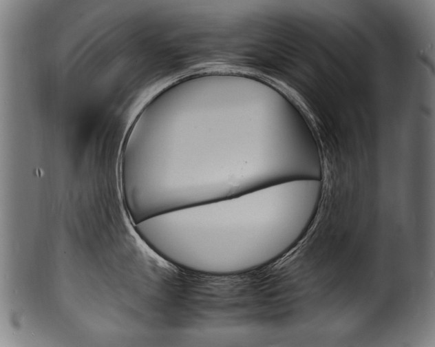 X0000100981247200806241141