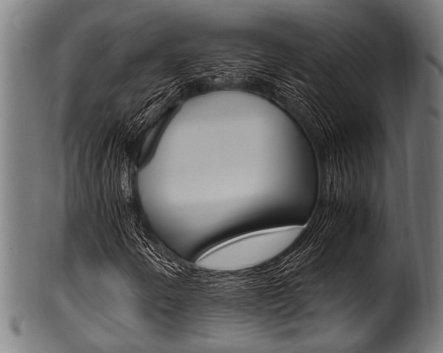 X0000100981250200806241140