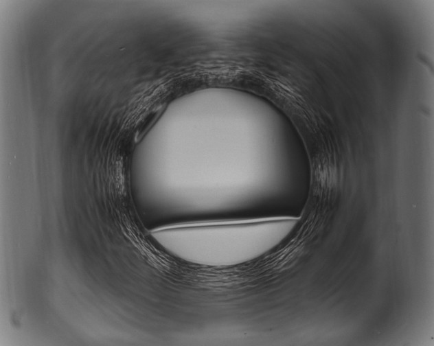 X0000100981252200806241140