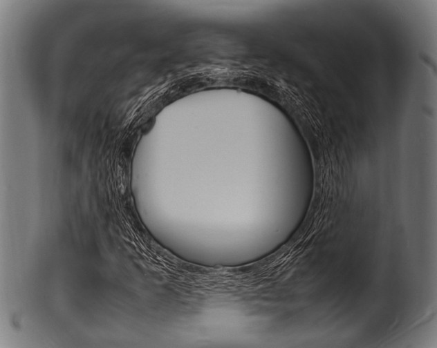 X0000100981253200806241140