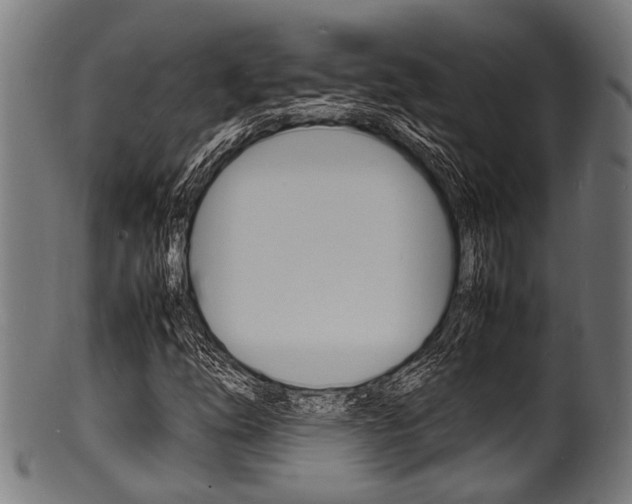 X0000100981254200806241140