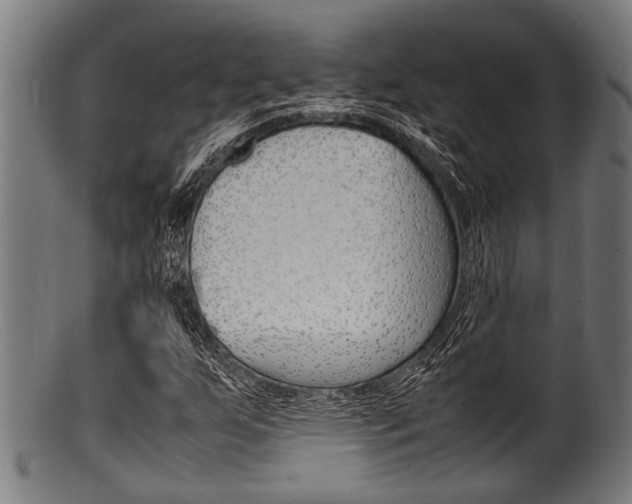 X0000100981255200806241140