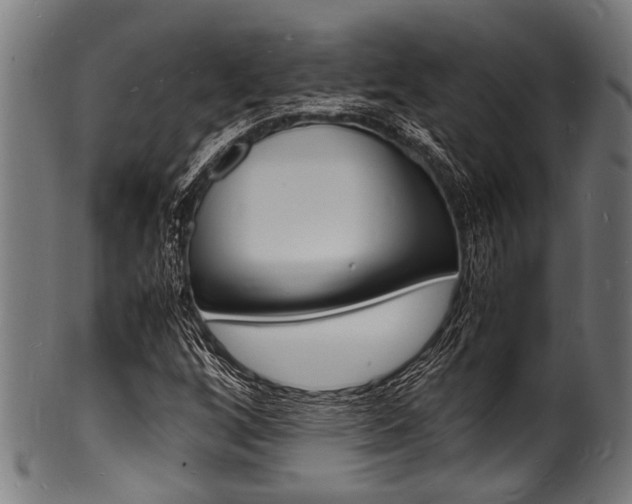 X0000100981256200806241140