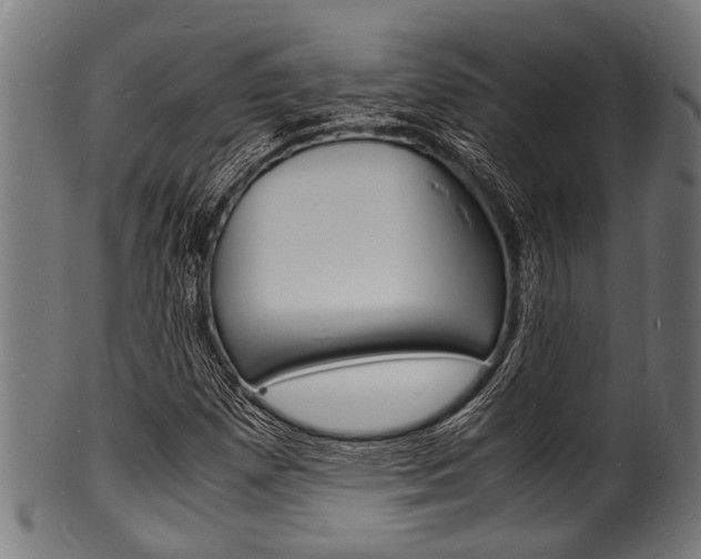 X0000100981257200806241140