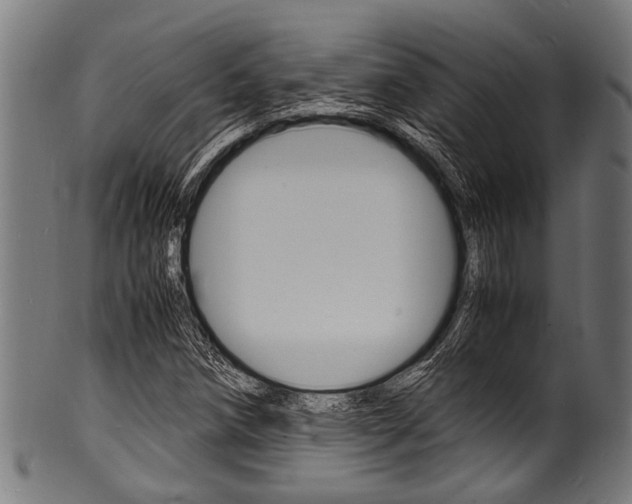 X0000100981258200806241140