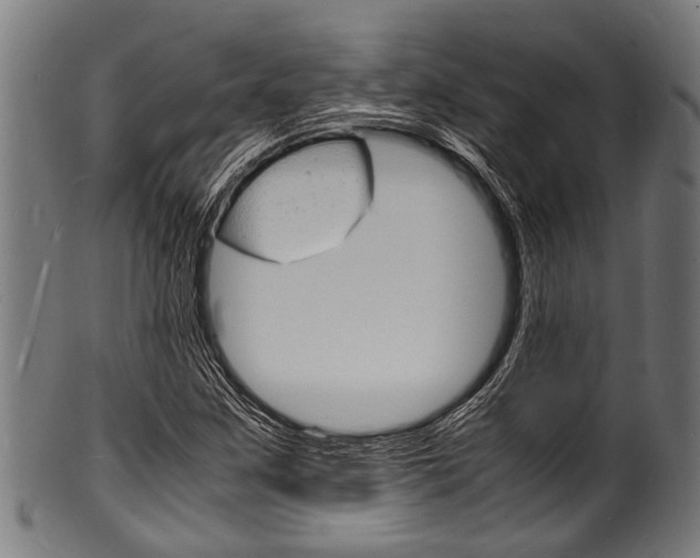 X0000100981259200806241140