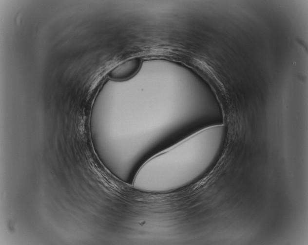 X0000100981260200806241140