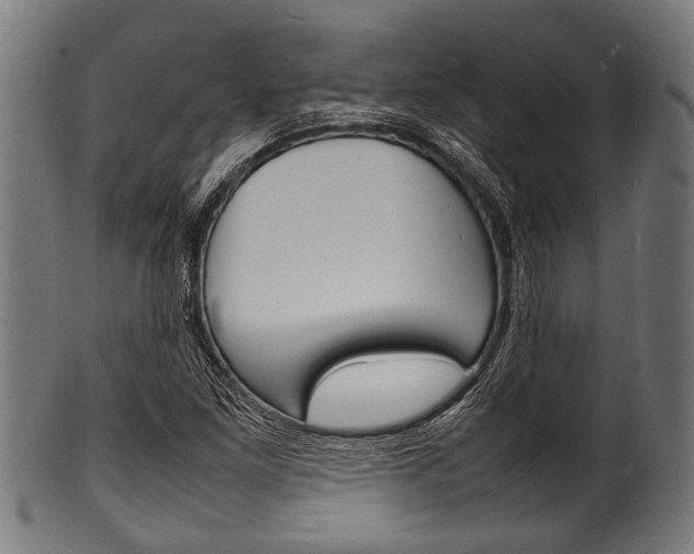 X0000100981261200806241140