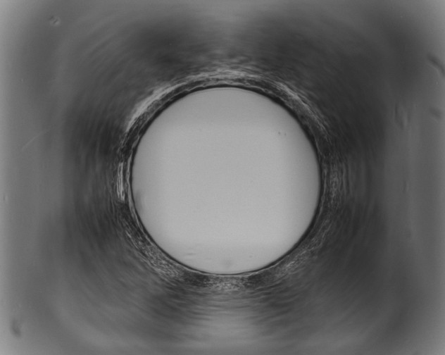 X0000100981262200806241140