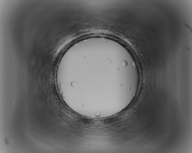 X0000100981263200806241140