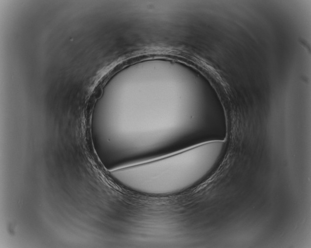 X0000100981264200806241140