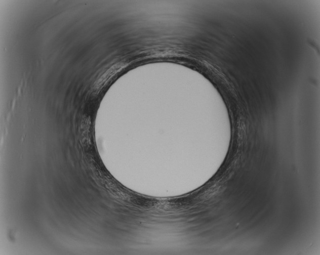 X0000100981265200806241140