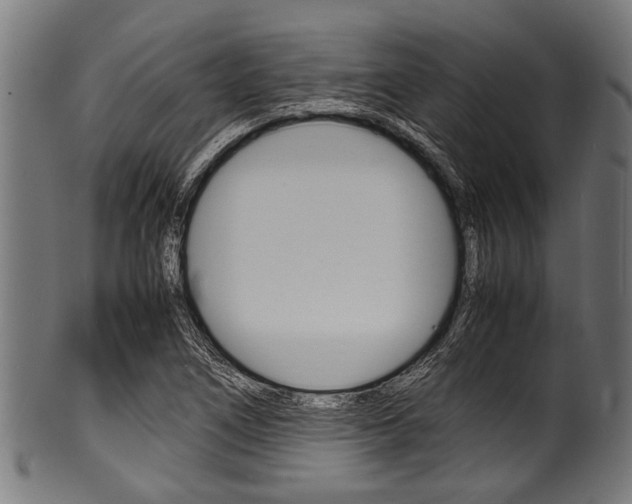 X0000100981266200806241140