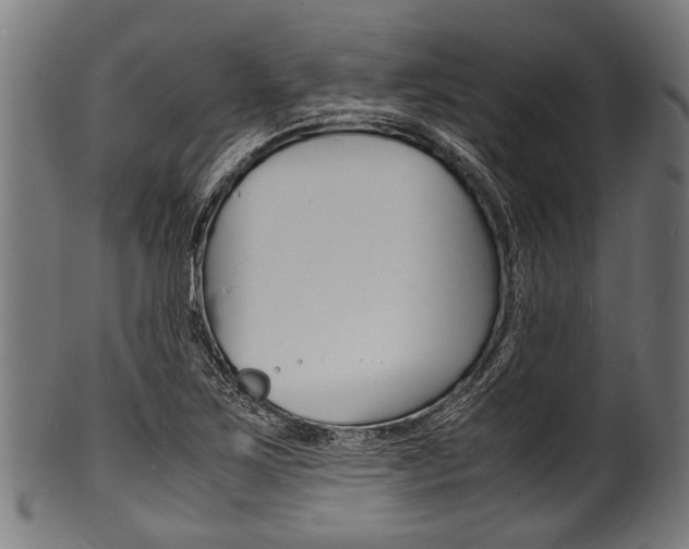 X0000100981267200806241140