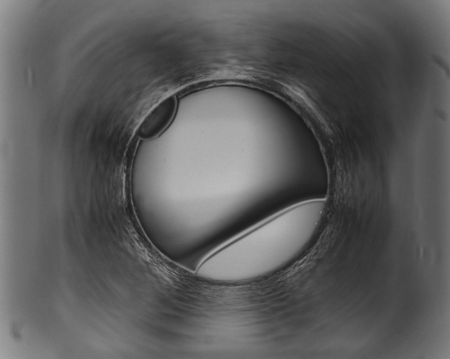 X0000100981268200806241140