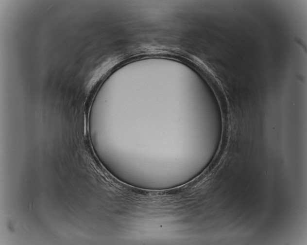X0000100981269200806241140