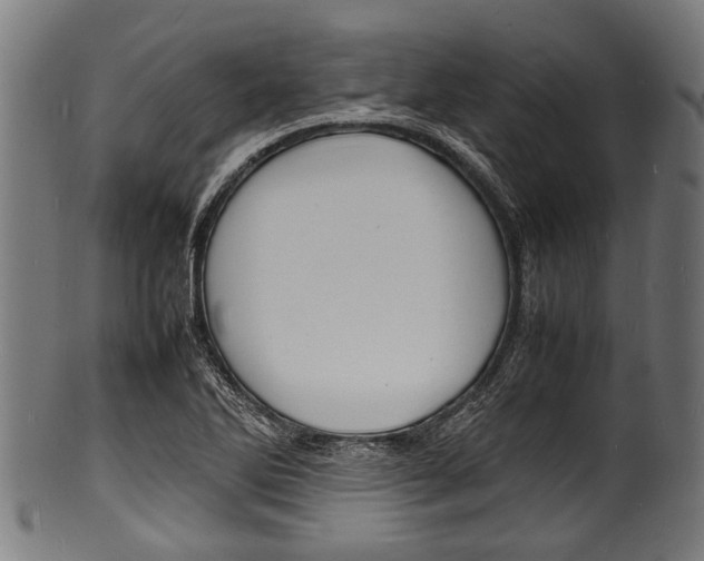 X0000100981270200806241140