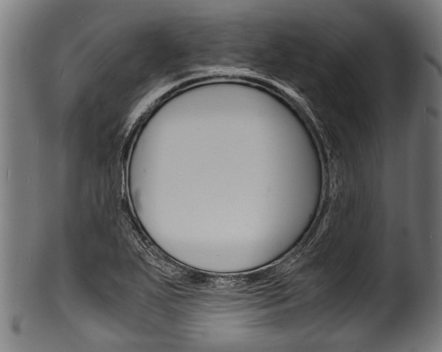 X0000100981271200806241140