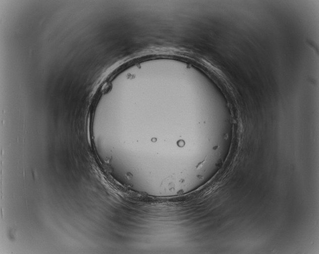 X0000100981272200806241140
