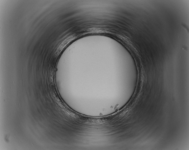 X0000100981273200806241140