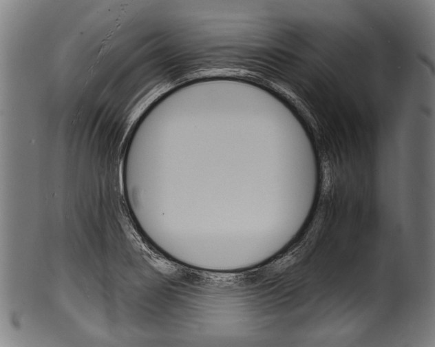 X0000100981274200806241140