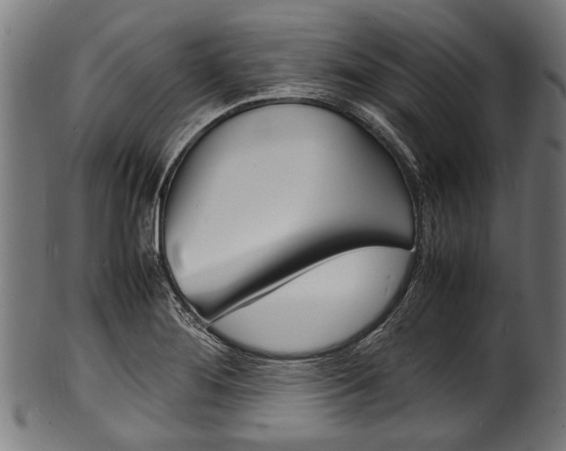 X0000100981276200806241140