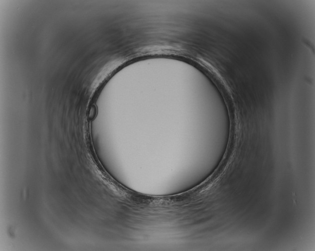 X0000100981277200806241140