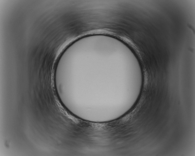 X0000100981278200806241140