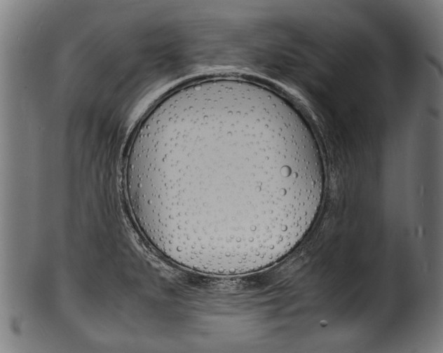 X0000100981279200806241140