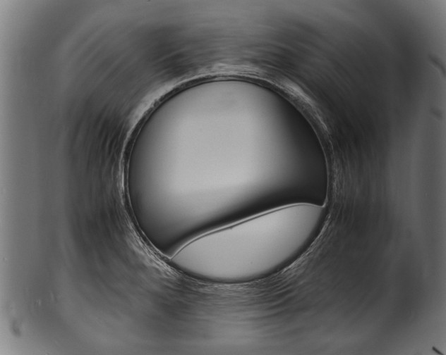 X0000100981280200806241140