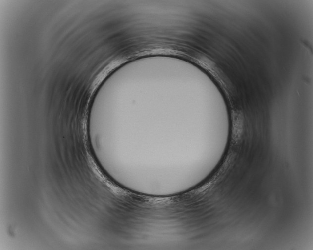 X0000100981282200806241140