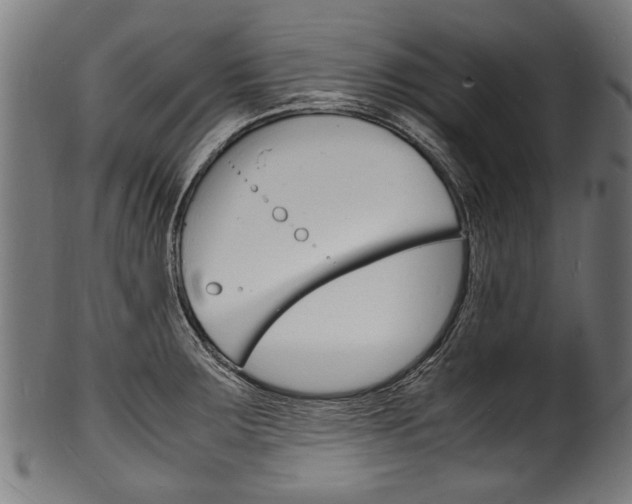 X0000100981283200806241140
