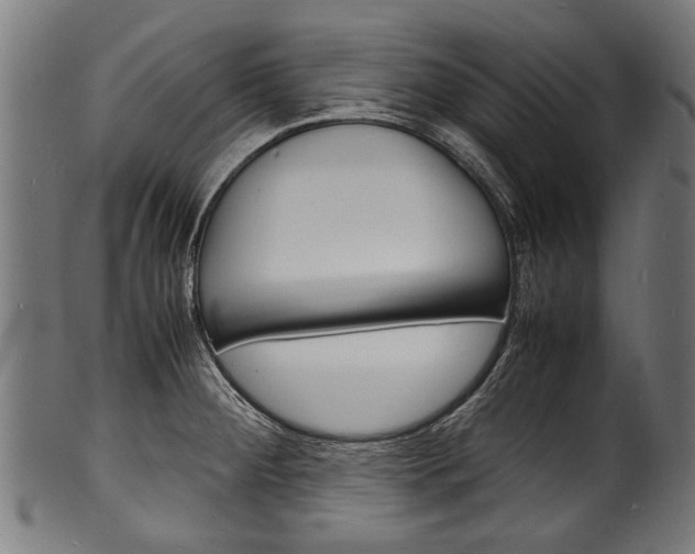 X0000100981284200806241140