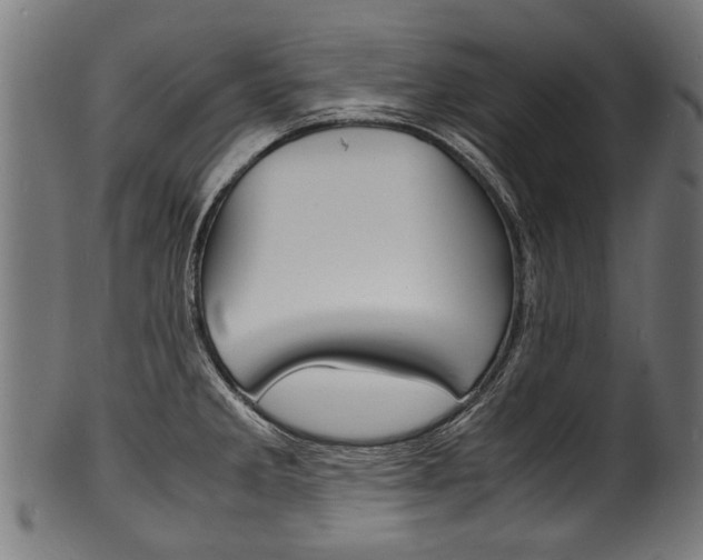 X0000100981285200806241140