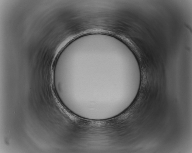 X0000100981286200806241140