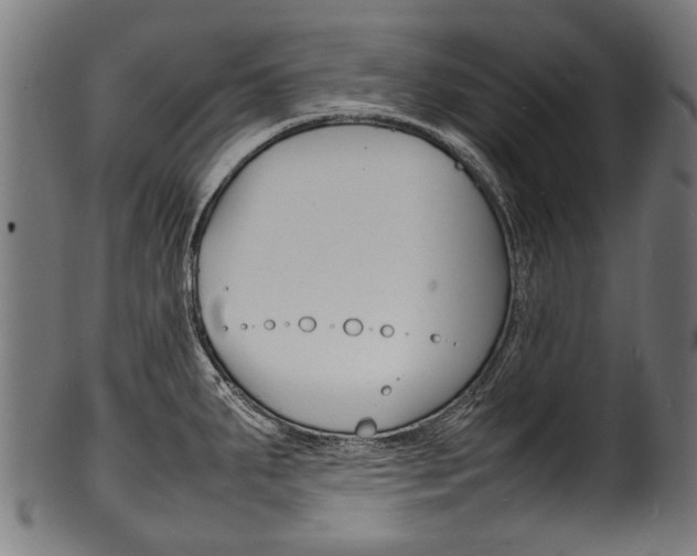 X0000100981287200806241140