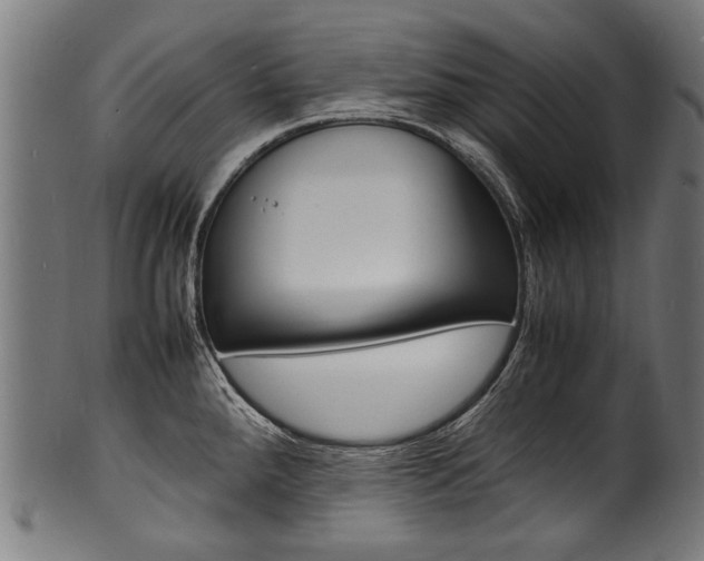 X0000100981288200806241140