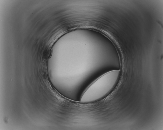 X0000100981289200806241140