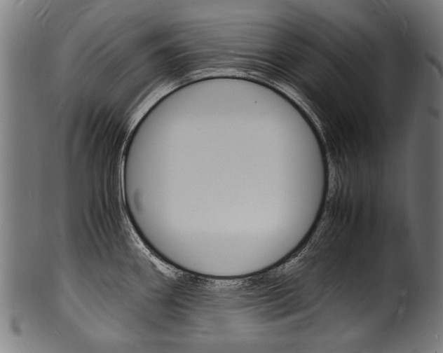 X0000100981290200806241140