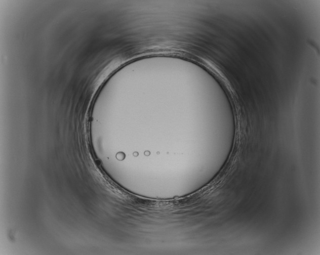X0000100981291200806241140
