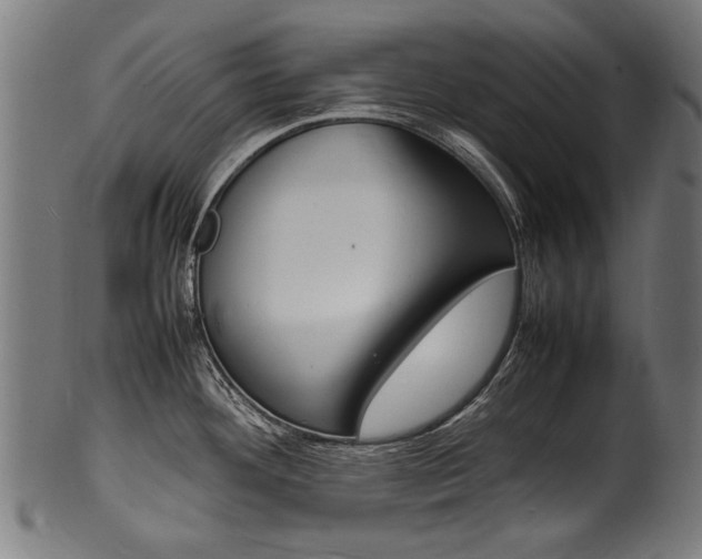 X0000100981292200806241140