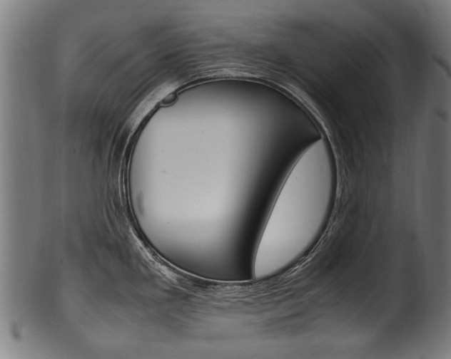 X0000100981293200806241139