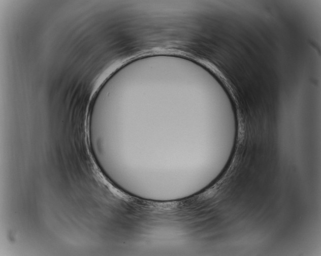 X0000100981294200806241139