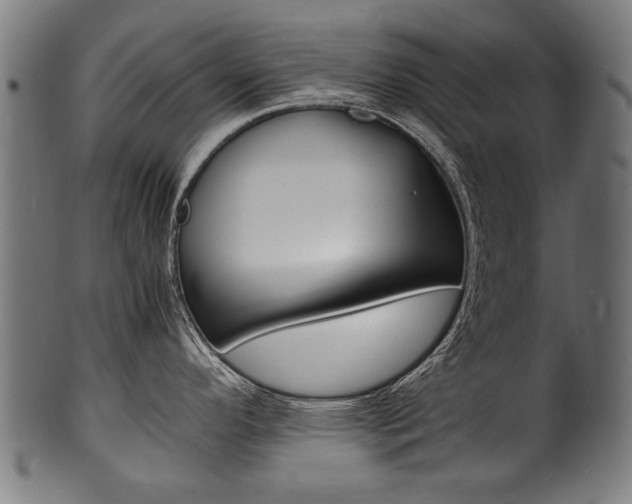 X0000100981296200806241139