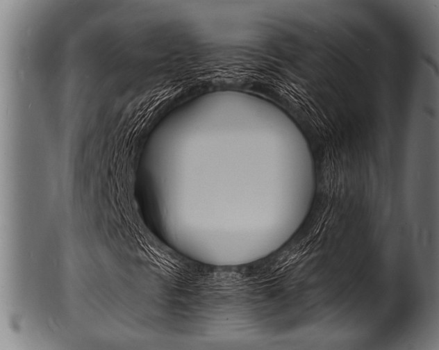 X0000100981297200806241139