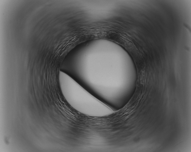 X0000100981298200806241139