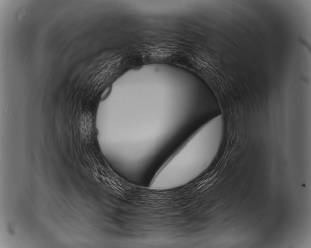X0000100981299200806241139